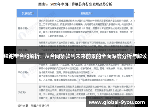 穆谢奎合约解析：从合同条款到未来前景的全面深度分析与解读