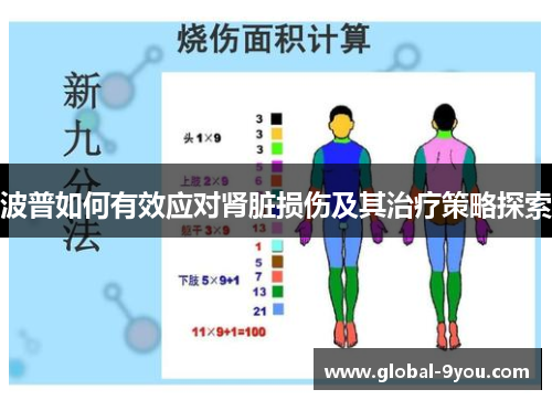 波普如何有效应对肾脏损伤及其治疗策略探索